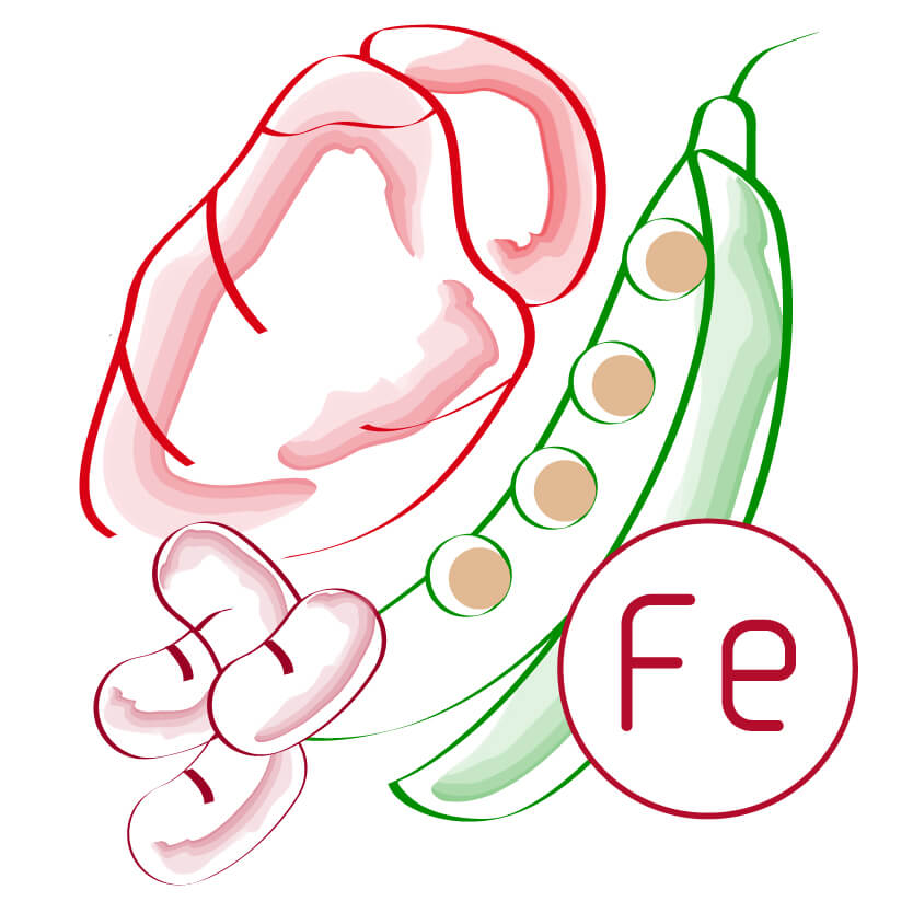 Eisenmangel - eisenhaltige Ernährung